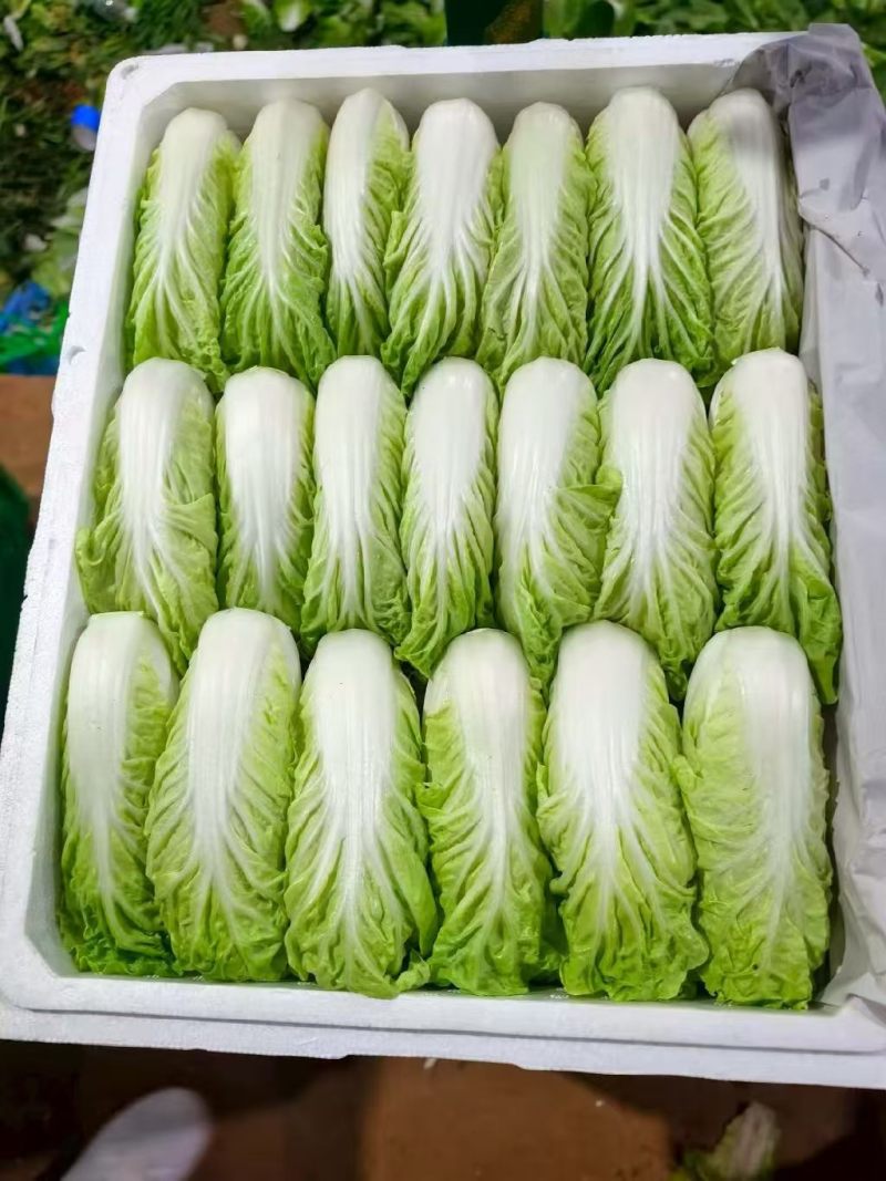 云南特菜小黄白苗