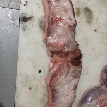 猪副产品，猪精修血脖槽头
