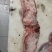 猪副产品，猪精修血脖槽头