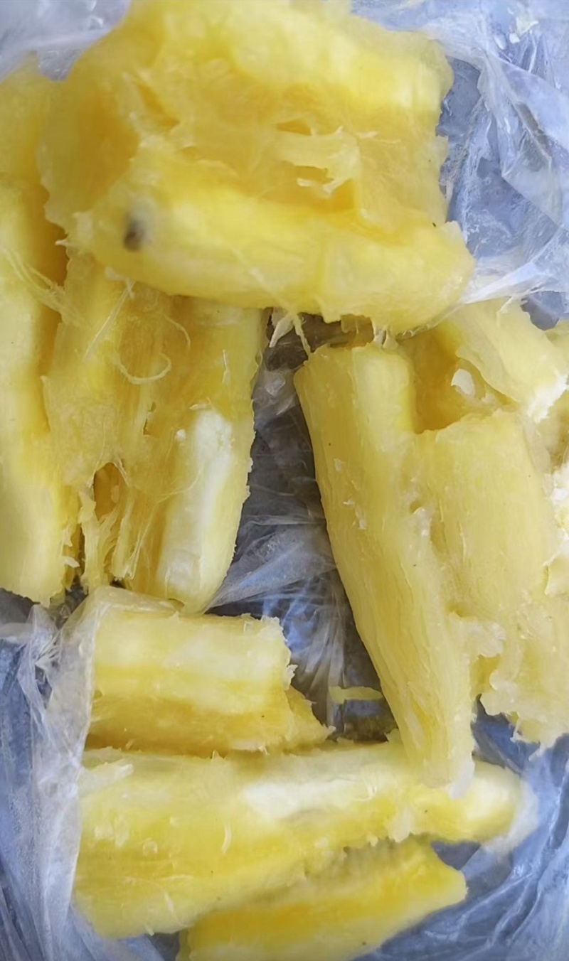 华南9号黄心木薯大量供应现货