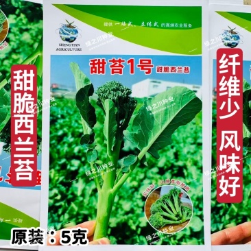 甜苔1号西兰苔种子秋季西蓝薹种子风味好香甜脆嫩西兰薹种籽