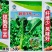 甜苔1号西兰苔种子秋季西蓝薹种子风味好香甜脆嫩西兰薹种籽
