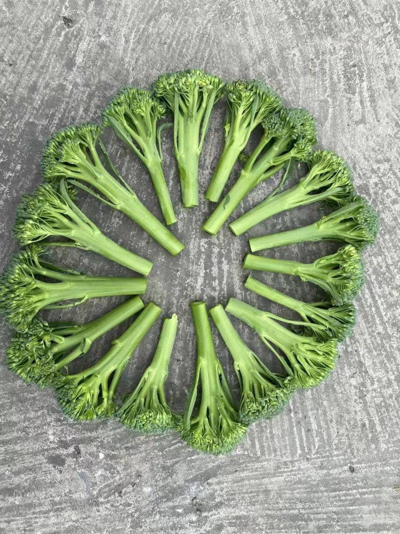 甜苔1号西兰苔种子秋季西蓝薹种子风味好香甜脆嫩西兰薹种籽