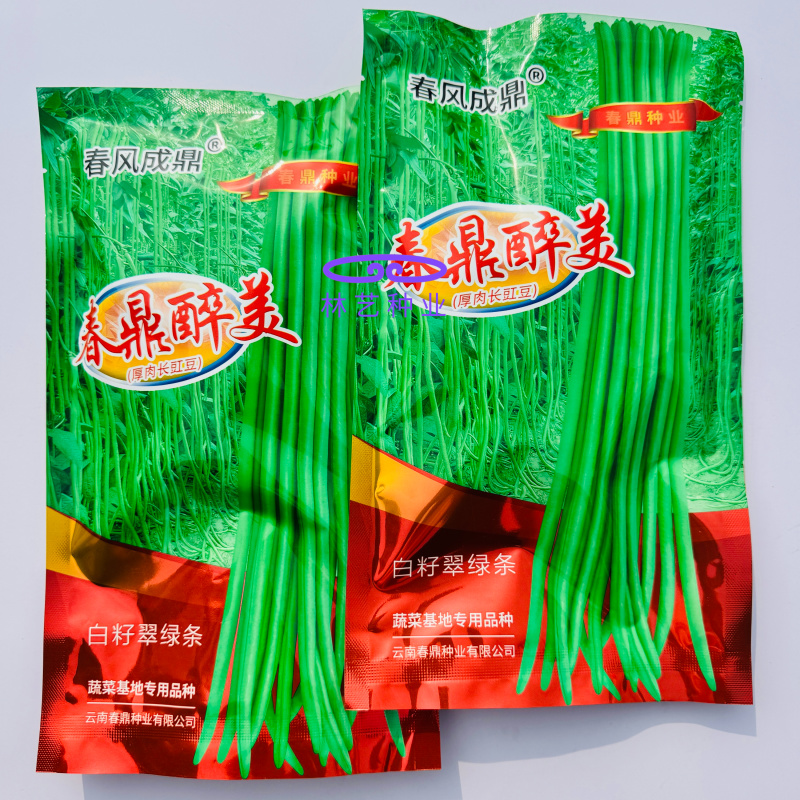 春鼎醉美长豇豆种籽翠绿有光泽豆角顺直厚肉紧实双荚率高
