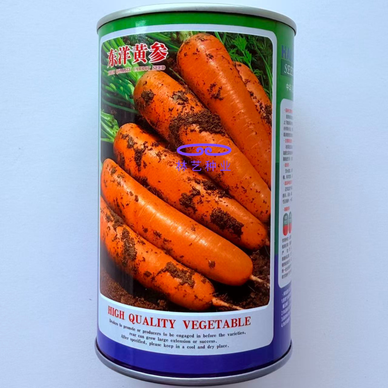 东洋黄参胡萝卜种子肉质细嫩味甜脆高产抗病耐热耐寒胡萝卜籽