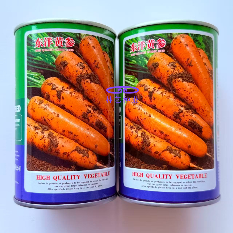 东洋黄参胡萝卜种子肉质细嫩味甜脆高产抗病耐热耐寒胡萝卜籽