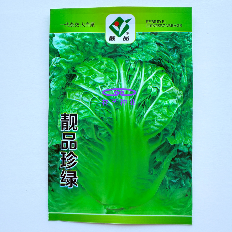 靓品珍绿白菜种子60天成熟春秋刺毛两季播种抗病丰产