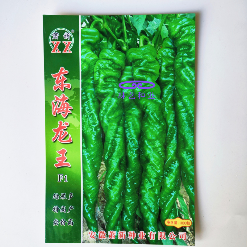 萧新东海龙王一代杂交全螺螺丝椒种子早熟皮薄质脆辣味香浓