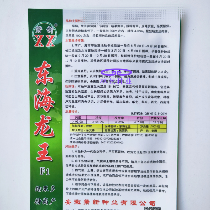 萧新东海龙王一代杂交全螺螺丝椒种子早熟皮薄质脆辣味香浓