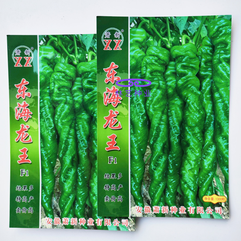 萧新东海龙王一代杂交全螺螺丝椒种子早熟皮薄质脆辣味香浓
