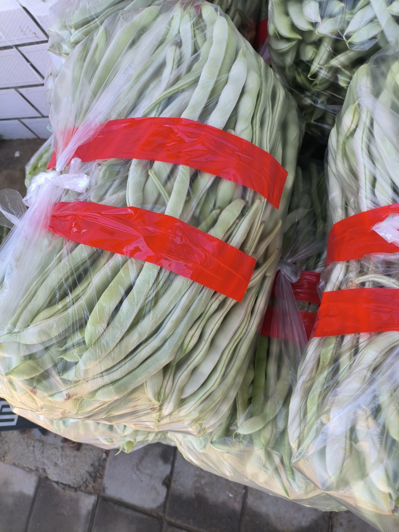 豆角下来了，需要货的新老客来吧
