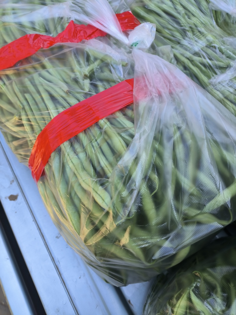 豆角下来了，需要货的新老客来吧