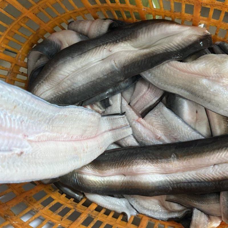 三去鳗鱼，冰鲜日本鳗，脆肉，日料店，烧烤，烤肉店，可冰鲜