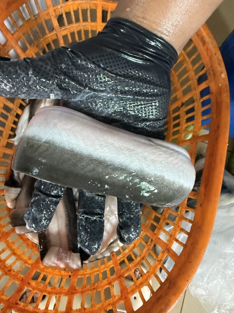 三去鳗鱼，冰鲜日本鳗，脆肉，日料店，烧烤，烤肉店，可冰鲜
