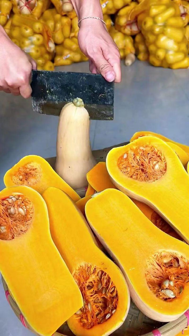 陕西汉中奶油南瓜