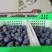 蓝莓蓝莓冻果全黑按吨卖A级果速冻蓝莓批发现货
