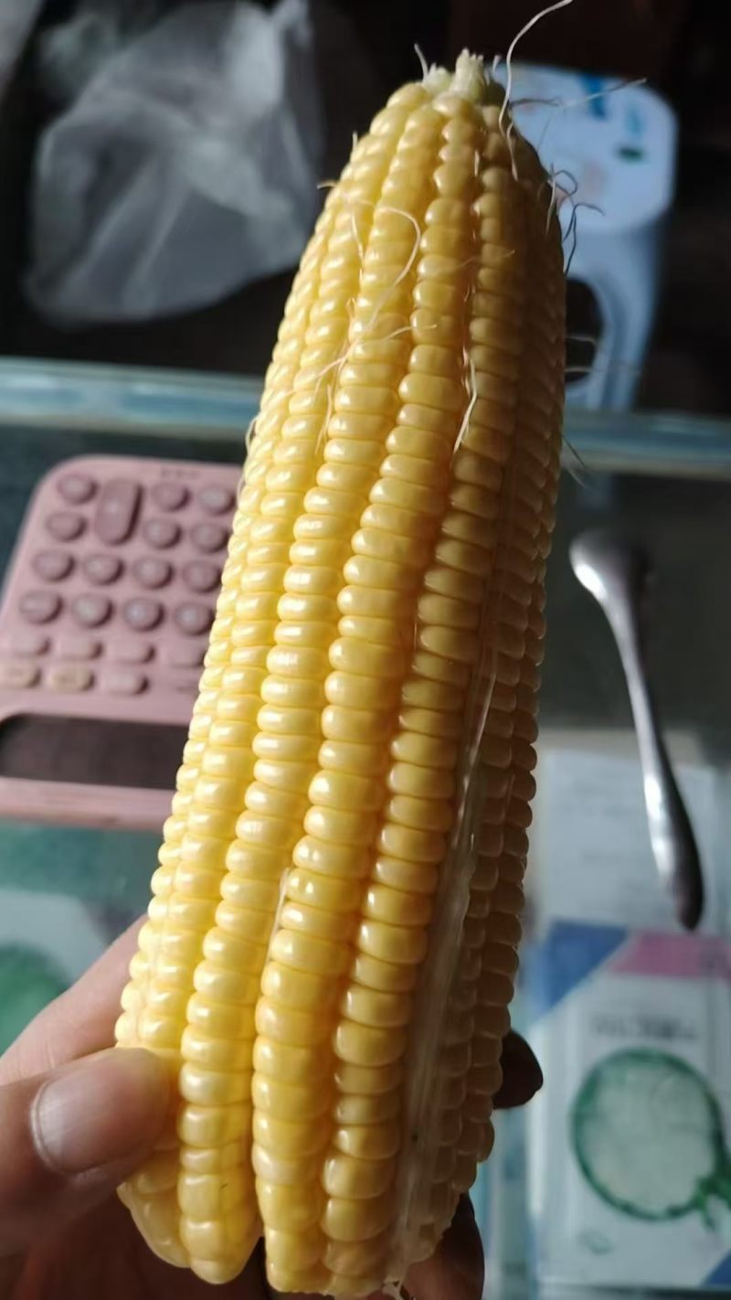 精品太阳花，接大小车，长期有货,需要联系