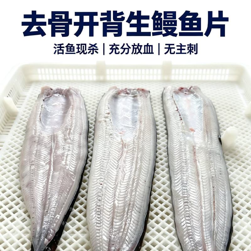 冰鲜鳗鱼，充分放血无小刺，肉质洁白-餐饮烧烤食材，
