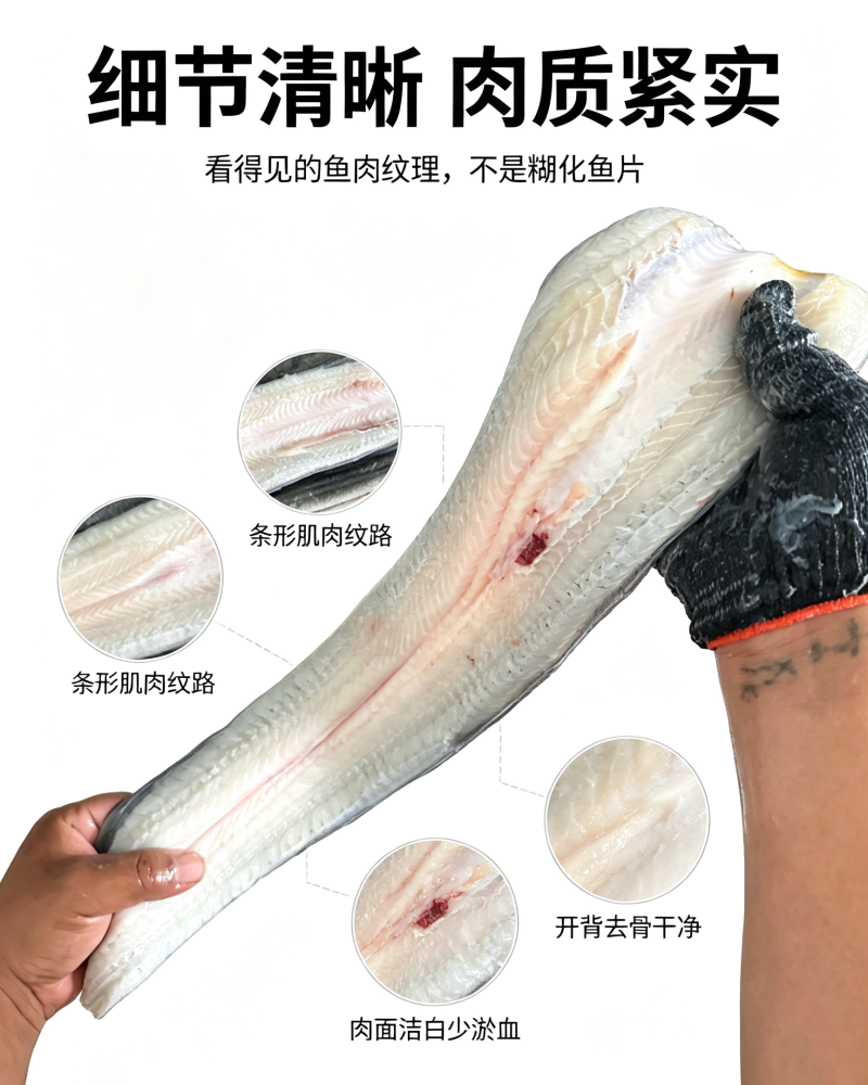 冰鲜鳗鱼，充分放血无小刺，肉质洁白-餐饮烧烤食材，