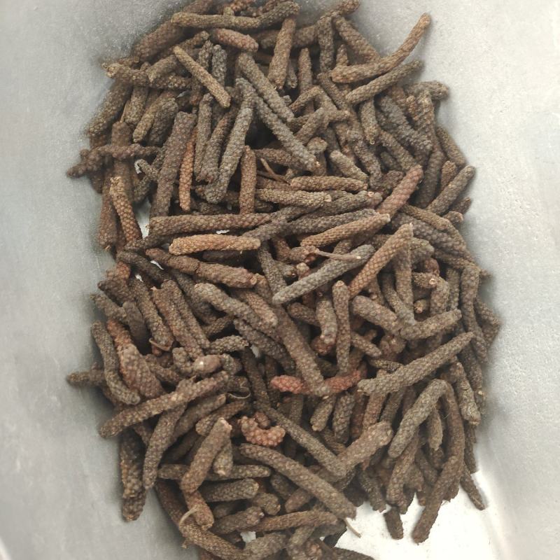荜拨，荜拔新货，产地货源，保质保量，批发各种中药材，欢迎