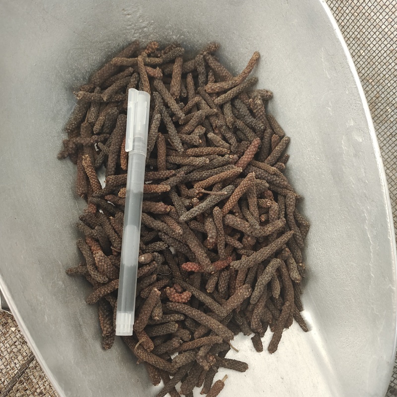 荜拨，荜拔新货，产地货源，保质保量，批发各种中药材，欢迎