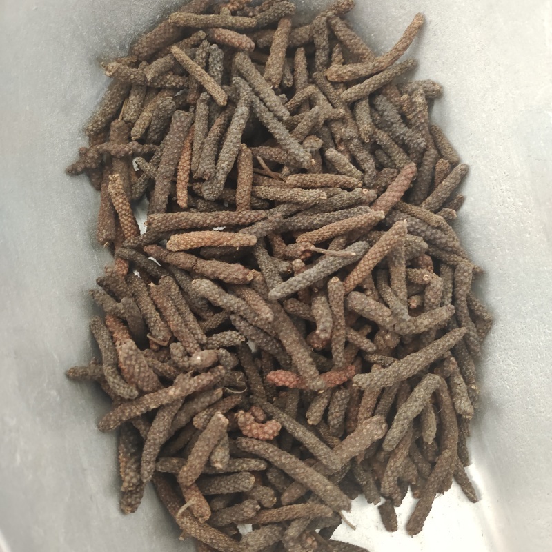 荜拨，荜拔新货，产地货源，保质保量，批发各种中药材，欢迎