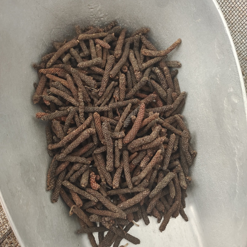 荜拨，荜拔新货，产地货源，保质保量，批发各种中药材，欢迎