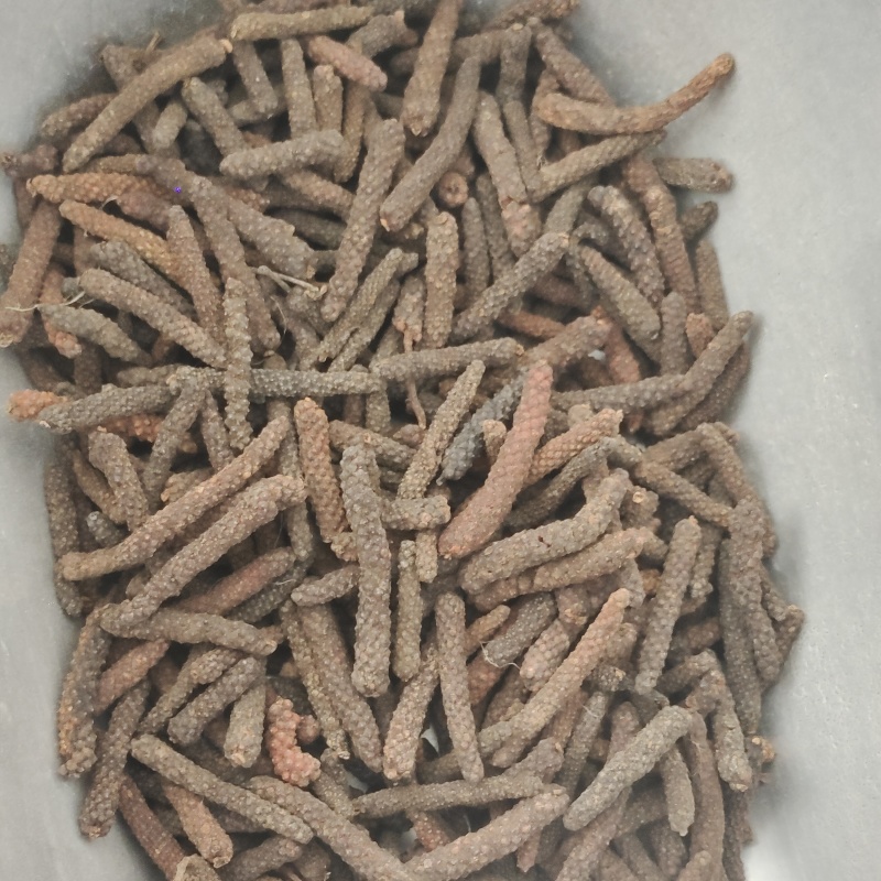 荜拨，荜拔新货，产地货源，保质保量，批发各种中药材，欢迎