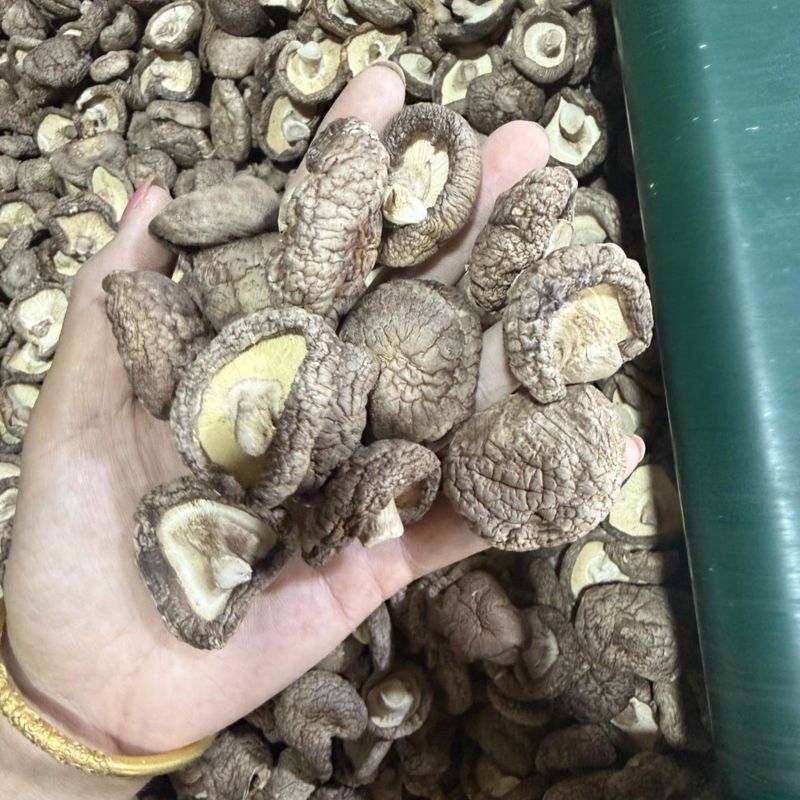 包邮精选3～4厘米新货泌阳干香菇