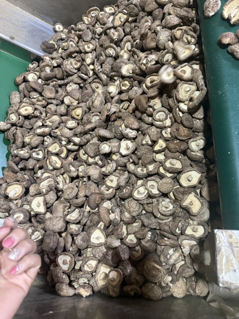 包邮精选3～4厘米新货泌阳干香菇