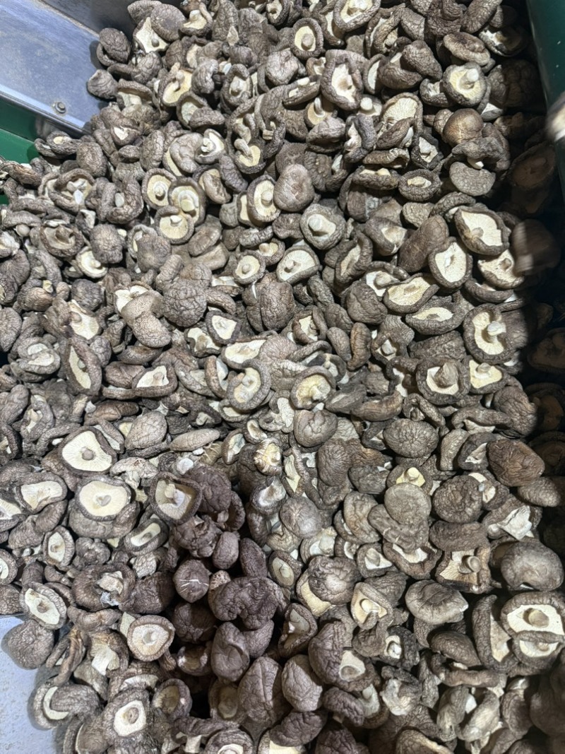 包邮精选3～4厘米新货泌阳干香菇