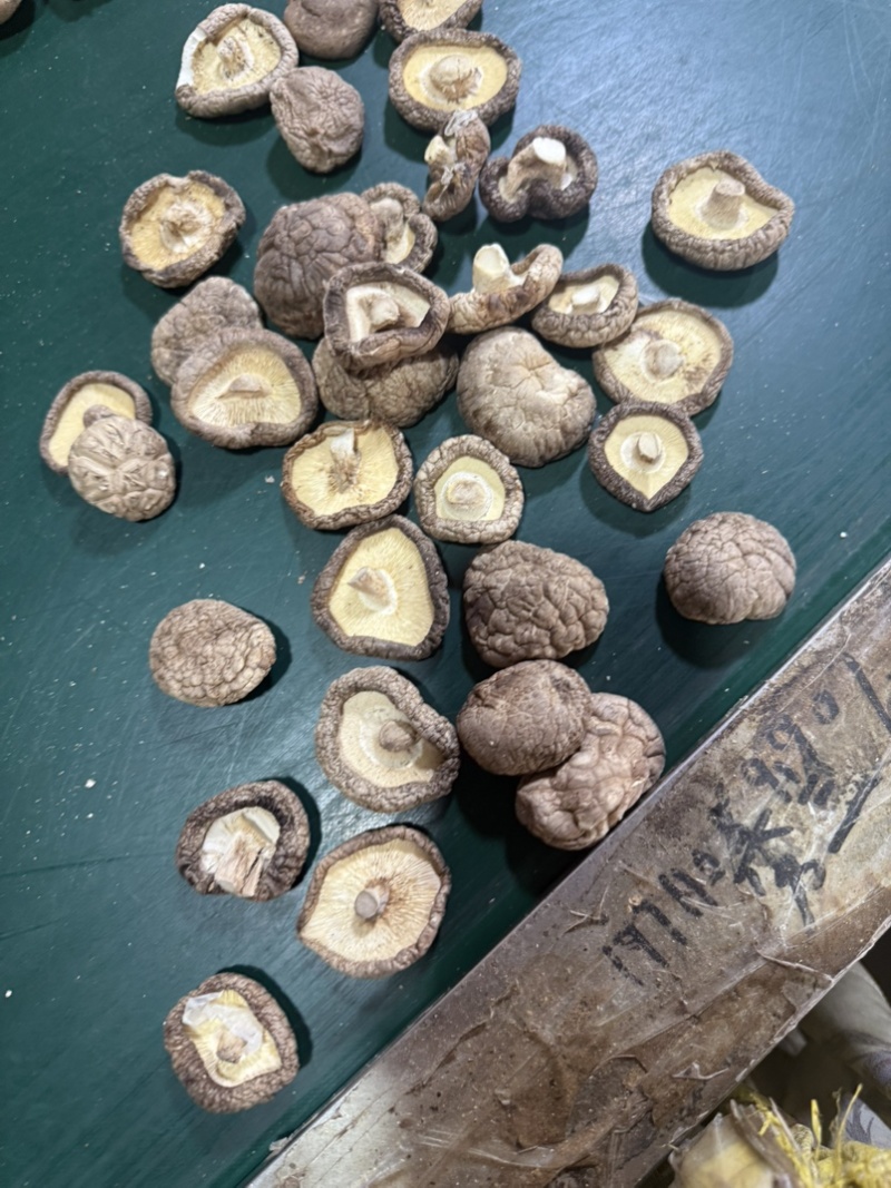 包邮精选3～4厘米新货泌阳干香菇
