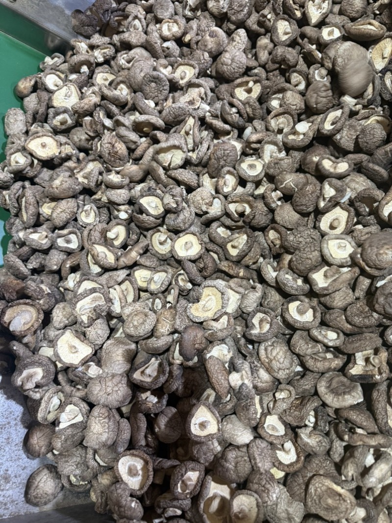 包邮精选3～4厘米新货泌阳干香菇
