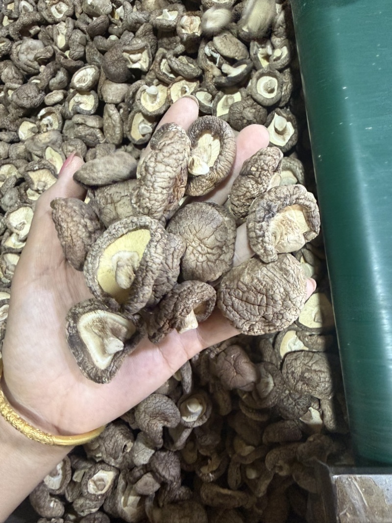 包邮精选3～4厘米新货泌阳干香菇