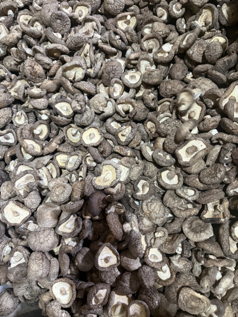 包邮精选3～4厘米新货泌阳干香菇