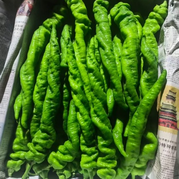 辣椒，