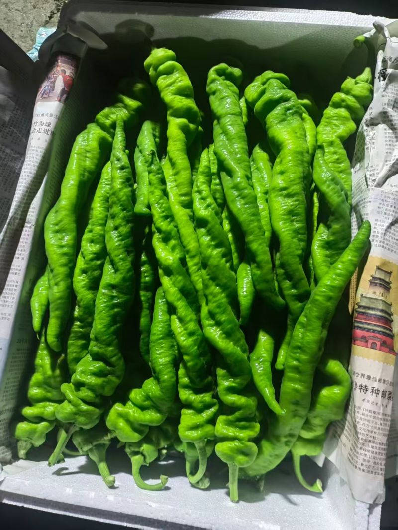 辣椒，