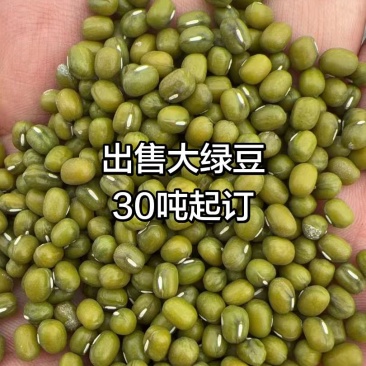 缅甸绿豆大量现货，