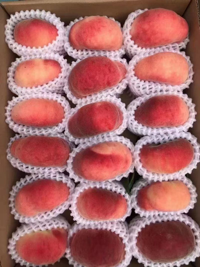 蟠桃