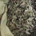 金鸡脚鸭脚草辟瘟草独脚金鸡大量上市