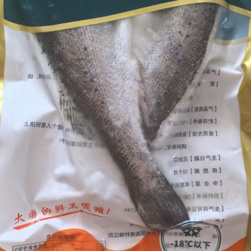 白蕉海鲈