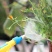 饮料瓶喷头喷雾器打药喷壶浇花喷壶消毒大号喷雾器多功能家用