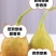 芭劳奈无花果裸根苗香蕉无花果苗南北方种植