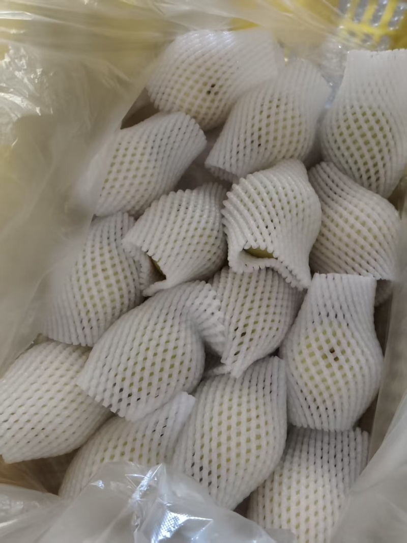 河北皇冠梨，四两以上的大果