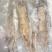 鱿鱼量大优惠