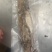 鱿鱼量大优惠