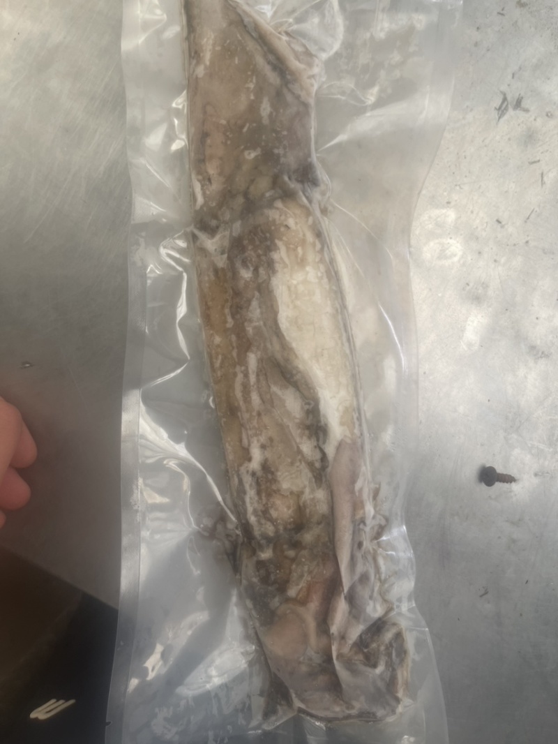 鱿鱼量大优惠