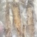 独立包装鱿鱼量大优惠