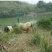 放养巴马香猪肉四川慢养溜达跑山猪