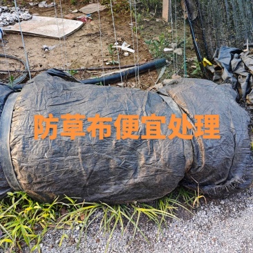 便宜处理防草布